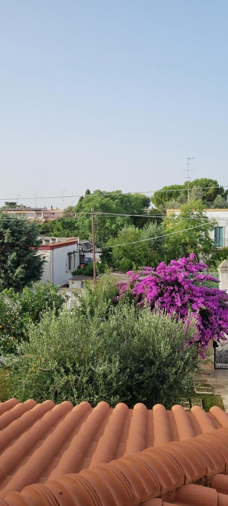 Villa Guajira Bari Exteriör bild