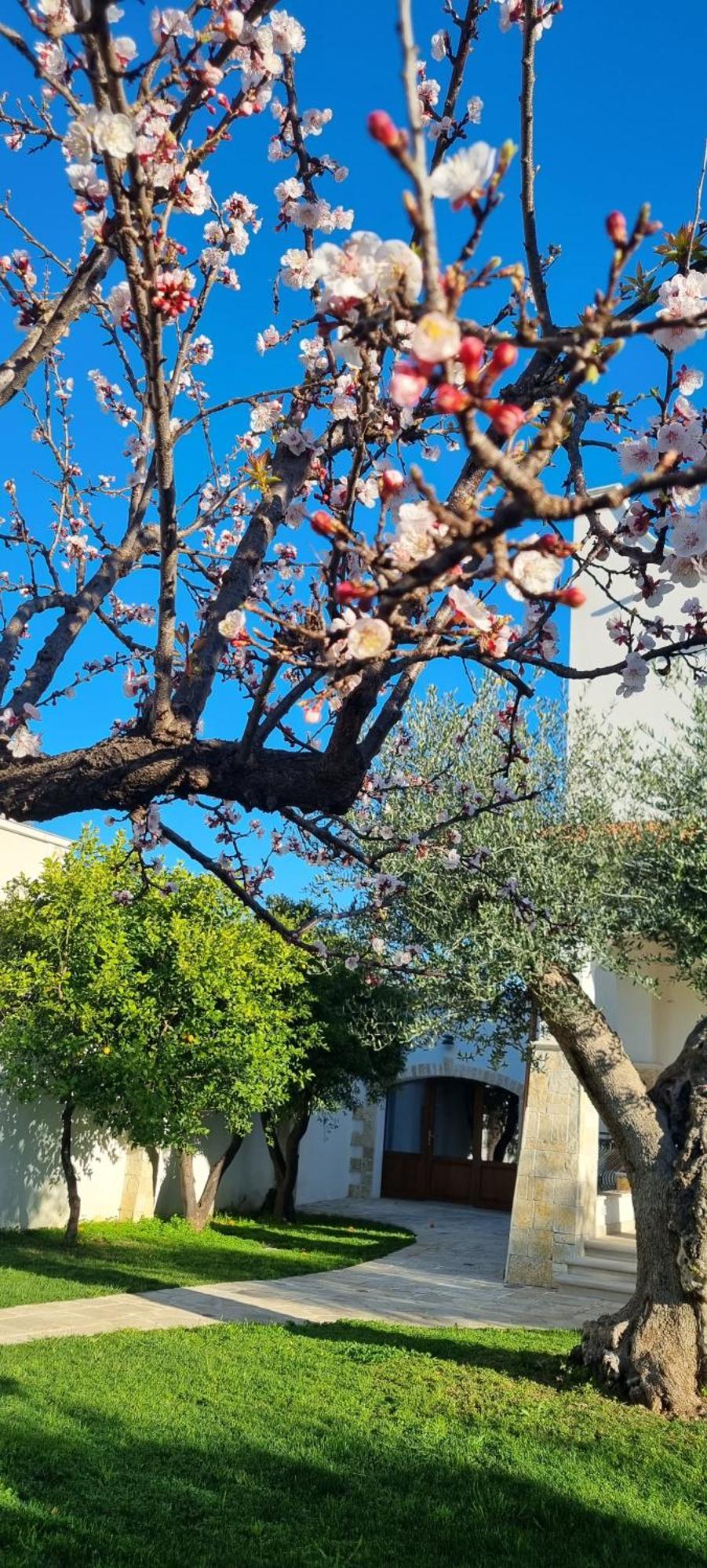Villa Guajira Bari Exteriör bild
