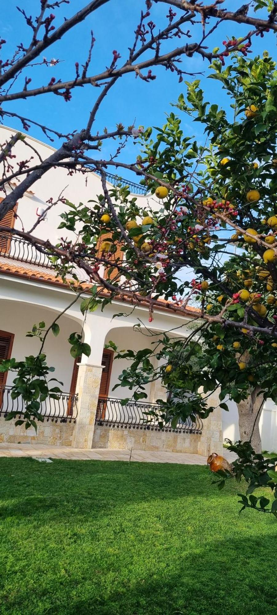 Villa Guajira Bari Exteriör bild