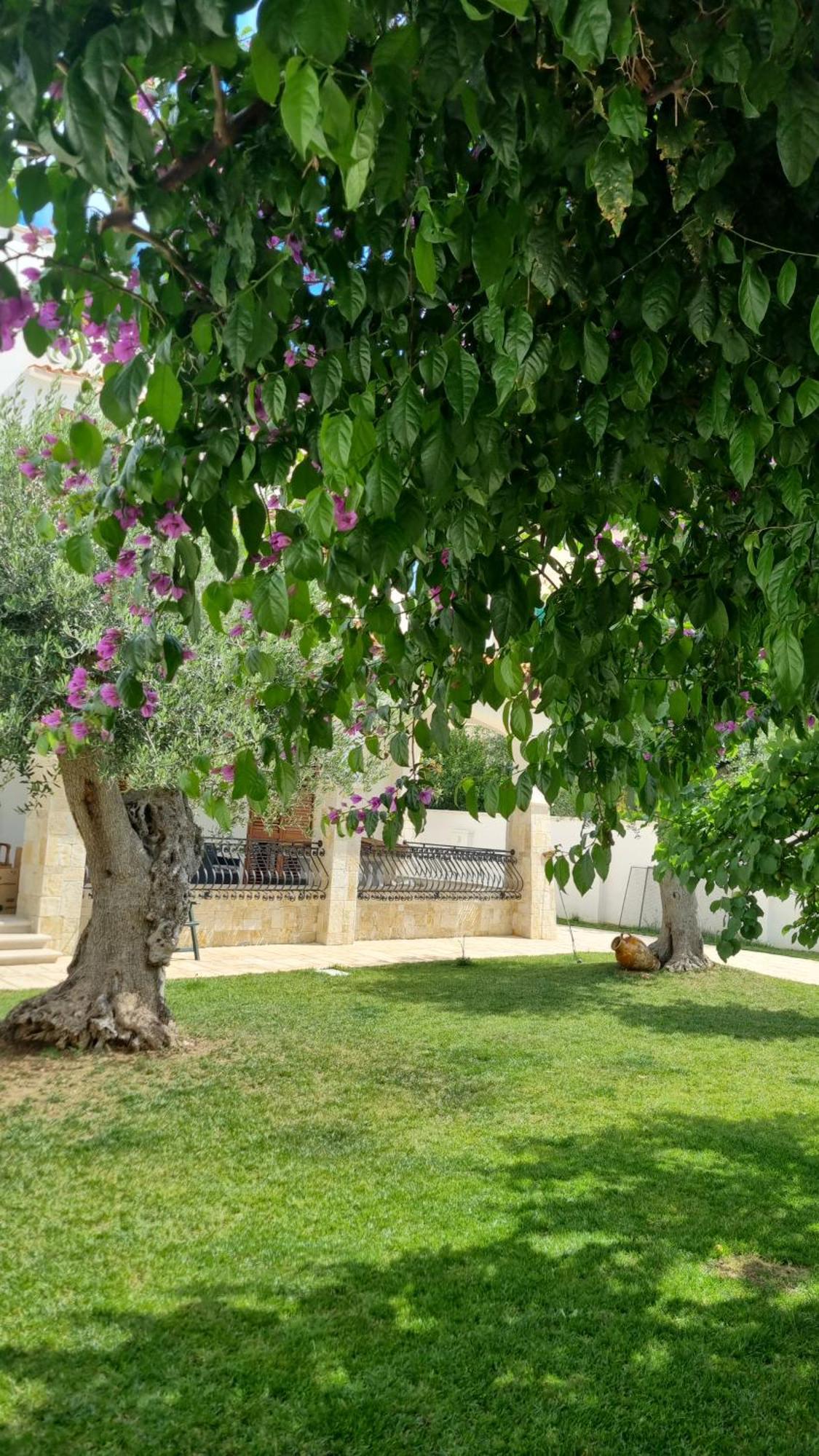 Villa Guajira Bari Exteriör bild