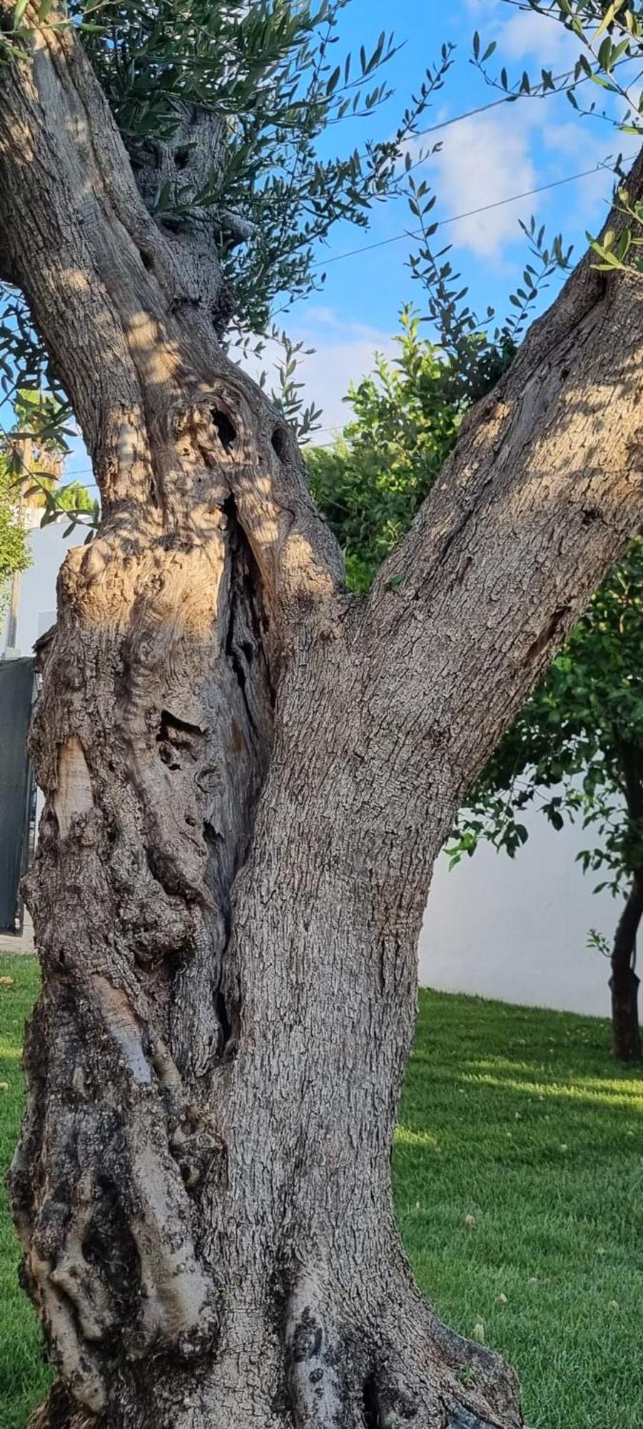 Villa Guajira Bari Exteriör bild