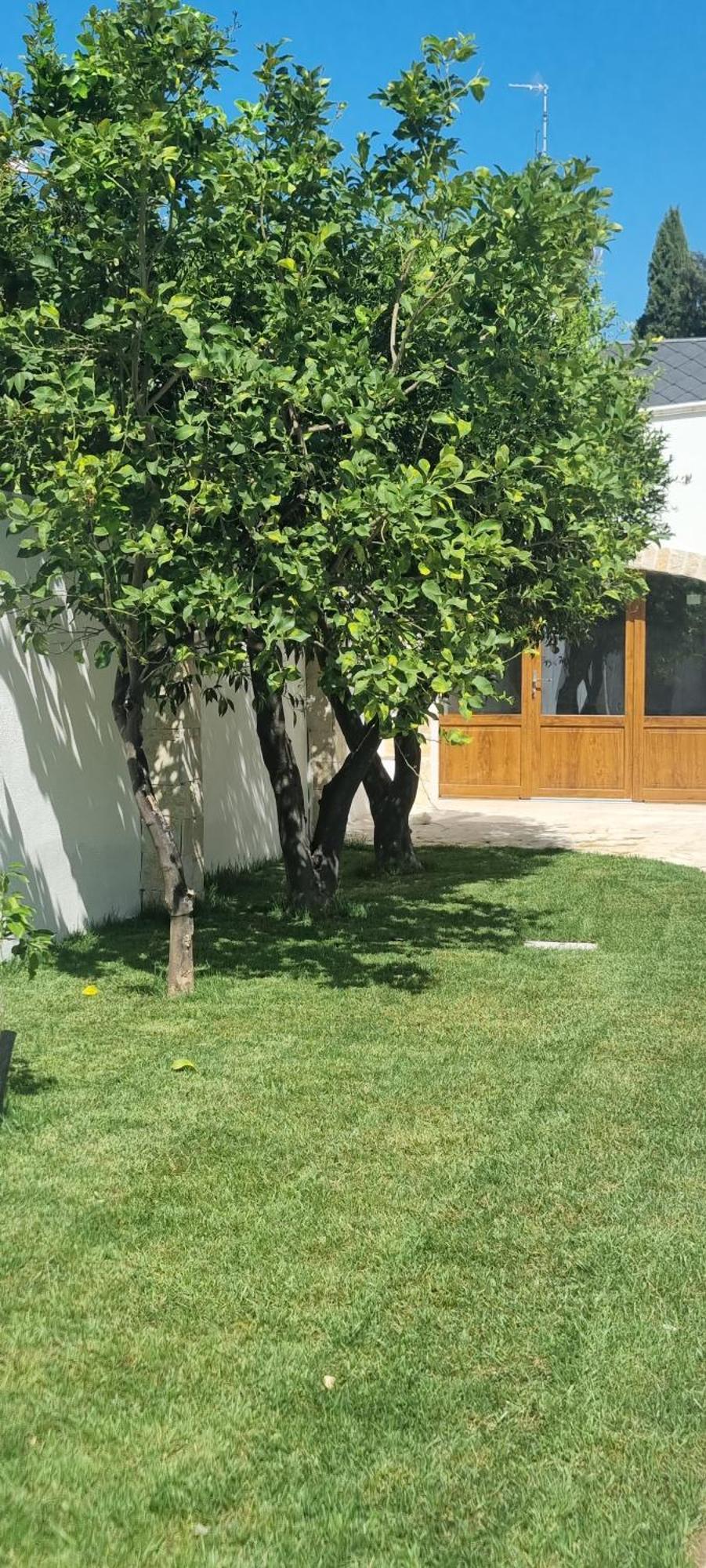 Villa Guajira Bari Exteriör bild
