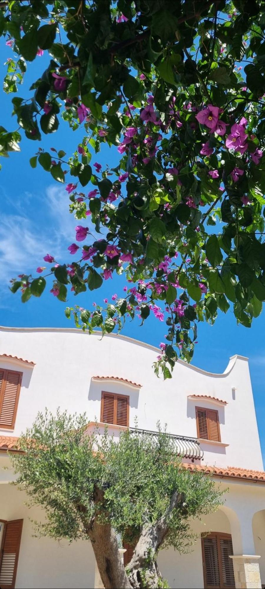 Villa Guajira Bari Exteriör bild